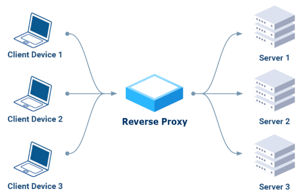 diagramma reverse proxy